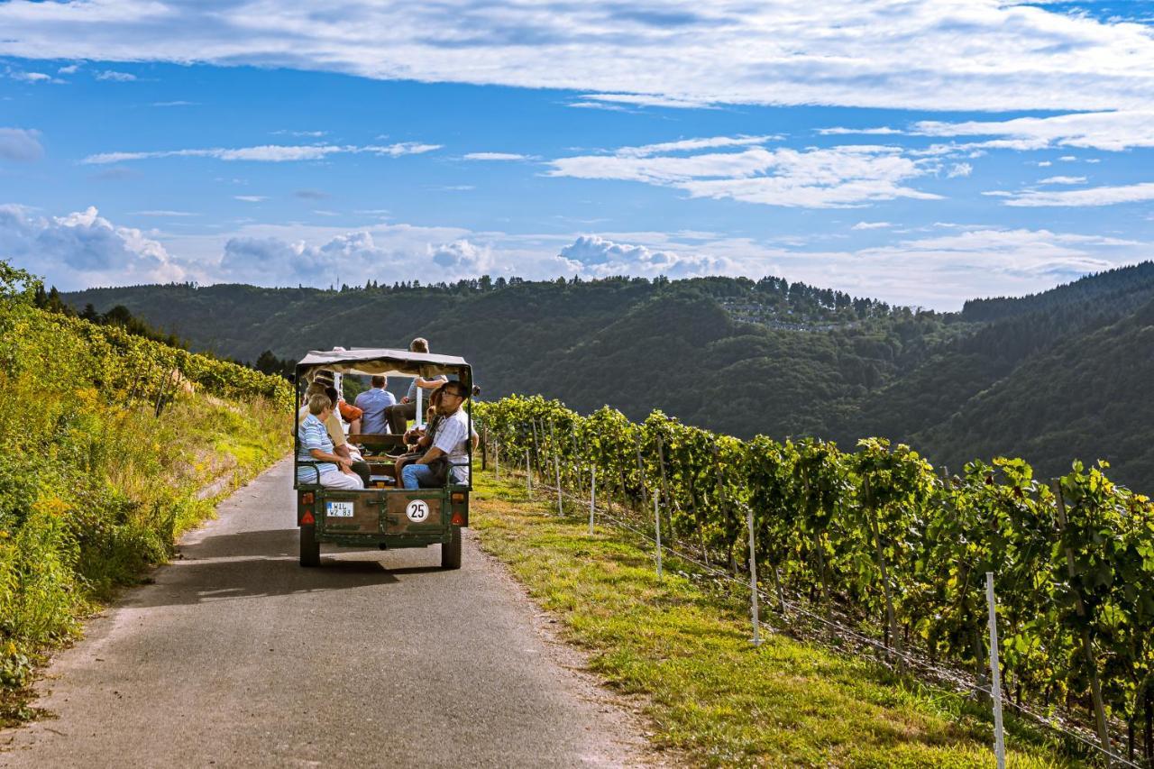 مبيت وإفطار Burg  Ferienweingut Hirschen Schulstrasse المظهر الخارجي الصورة