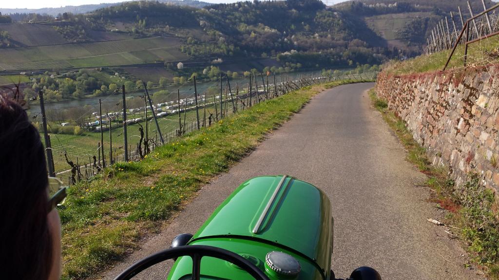 مبيت وإفطار Burg  Ferienweingut Hirschen Schulstrasse المظهر الخارجي الصورة