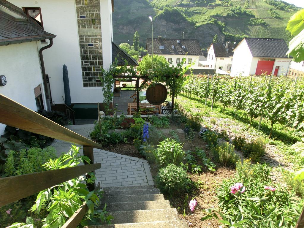 مبيت وإفطار Burg  Ferienweingut Hirschen Schulstrasse المظهر الخارجي الصورة
