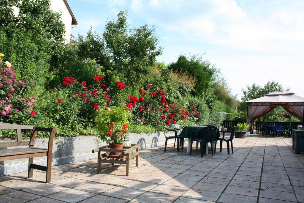 مبيت وإفطار Burg  Ferienweingut Hirschen Schulstrasse المظهر الخارجي الصورة