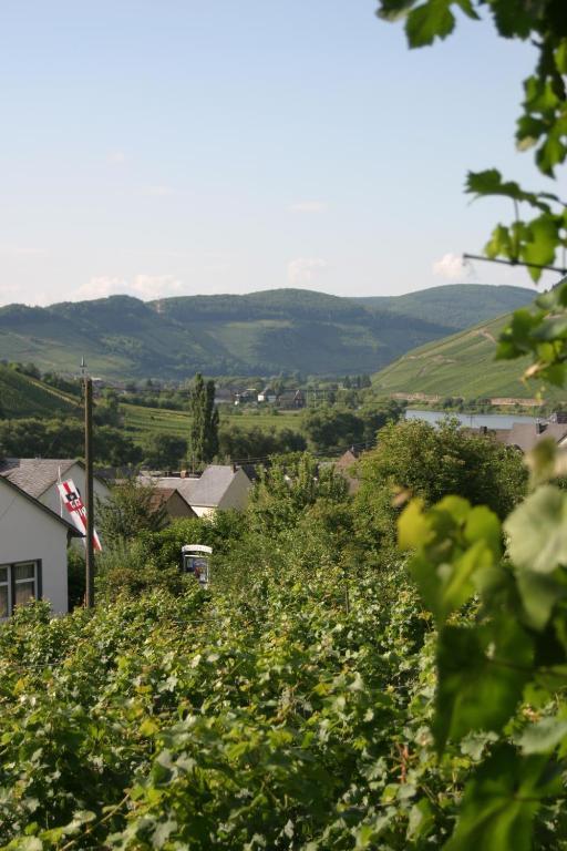 مبيت وإفطار Burg  Ferienweingut Hirschen Schulstrasse المظهر الخارجي الصورة