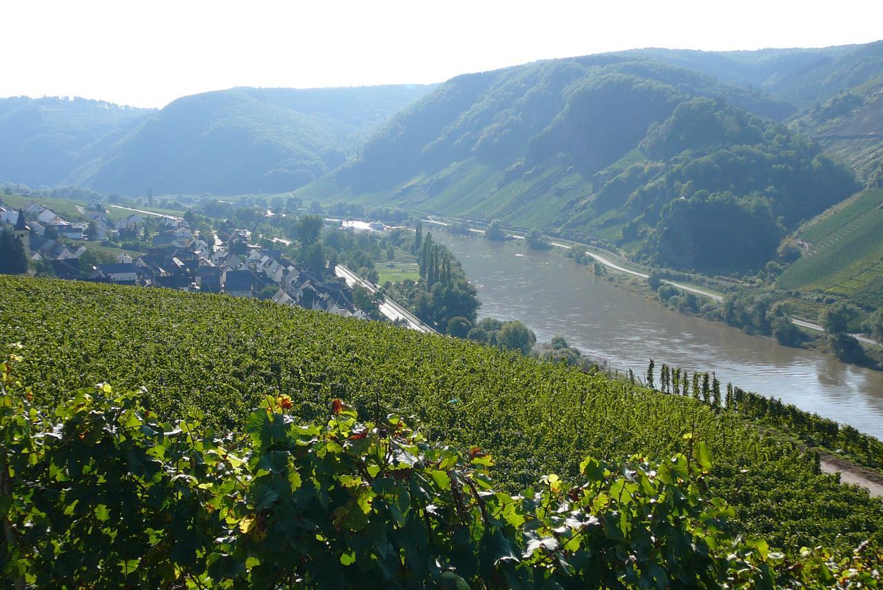 مبيت وإفطار Burg  Ferienweingut Hirschen Schulstrasse المظهر الخارجي الصورة